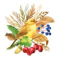 Yellow bird and autumn flowers, dry herbs, canary watercolor drawing, boho illustration