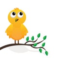 Yellow bird on a branch of a tree Royalty Free Stock Photo