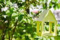 Yellow bird house hanging from the tree and surrounded by lush foliage