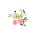 yellow bird on pink roses, bee, hand drawn illustrations on white background isolated