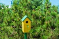 Beautiful yellow birdhouse