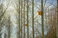 Yellow birdhouses in a row