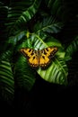 Yellow and black butterfly perched on leaf, created using generative ai technology Royalty Free Stock Photo