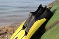 Yellow and black colored flipper over the sands Royalty Free Stock Photo