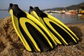 Yellow and black colored flipper over the sands Royalty Free Stock Photo