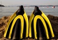 Yellow and black colored flipper over the sands Royalty Free Stock Photo