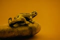 Yellow and black European fire salamander sitting on a stone on yellow background. Amphibian cute toy. Toxic amphibians