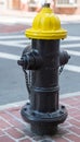 Yellow and Black Fire Hydrant in Boston MA Royalty Free Stock Photo