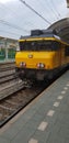 Locomotive of the dutch railways waiting along platform on Zwolle central station
