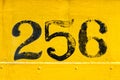 Yellow and black number 256