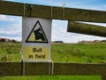 A yellow and black sign fixed to a wooden fence warns walkers of a bull loose in a field ahead Royalty Free Stock Photo