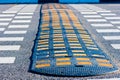 Yellow and Black Speed Bump