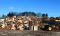 Yellow and black wood splitter with blocks of wood, heap of split wood and wood pile Royalty Free Stock Photo