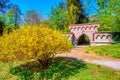 The yellow blooming bush of forsythia and medieval Neo-Gothic portal in greenery of Royal Gardens of Monza, Italy