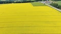 Yellow blooming field at grey road with driving cars aerial