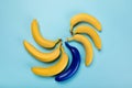 Yellow and blue bananas isolated on blue, ripe bananas