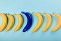 Yellow and blue bananas isolated on blue, ripe bananas