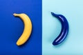 Yellow and blue bananas isolated on blue