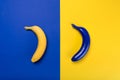 Yellow and blue bananas isolated on blue and yellow