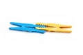 yellow and blue clothespin attached together Royalty Free Stock Photo