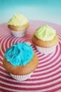 Yellow and blue cupcakes Royalty Free Stock Photo