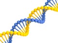 Yellow blue DNA molecule