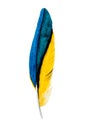 yellow, blue feather of tropical parrot bird watercolour illustration