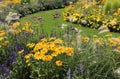 Yellow and blue flowerbed in the park