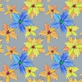 Yellow and blue flowers, gray background Royalty Free Stock Photo