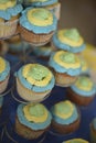 Yellow, blue and green cupcakes Royalty Free Stock Photo