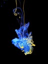 Yellow and blue ink in water Royalty Free Stock Photo