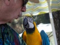 A Man and his parrot communicating with a whisper