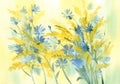 Yellow and blue meadow flowers watercolor background