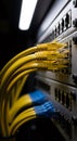 Yellow and blue network cables plugged into a server rack switch. Internet connection and data center concept for information Royalty Free Stock Photo
