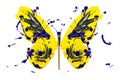 Yellow blue paint splash made butterfly Royalty Free Stock Photo