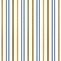Yellow and blue rope stripes geometric seamless pattern, vector