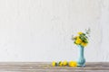 The yellow and blue spring flowers s in blue vase on white background Royalty Free Stock Photo