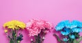 Yellow and blue summer flowers composition isolated on pink background. Mother and women day. Valentine holidays concept. Top view Royalty Free Stock Photo