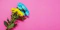 Yellow and blue summer flowers composition isolated on pink background. Mother and women day. Valentine holidays concept. Top view Royalty Free Stock Photo