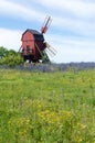 Yellow and blue summer flowers by an old traditional windmill at the swedish island Oland Royalty Free Stock Photo