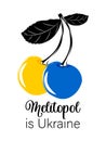 Yellow and blue sweet cherries with leaves on a white background with the text Melitopol is Ukraine.