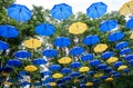 Yellow and blue umbrellas outdoor