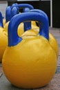 Yellow-blue weights for sport