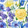 Yellow and blue wildflowers Cornflower, rose and bluebell, floral design, flowers watercolor seamless pattern Royalty Free Stock Photo