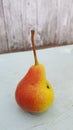 Yellow blushy pear closeup on rustic distressed background.