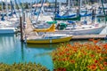 Yellow Boat Past Orange Flowers