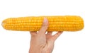 Yellow boiled corn on white background Royalty Free Stock Photo