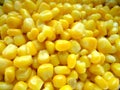 Yellow boiled corn for a healthy meal Royalty Free Stock Photo