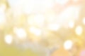 Yellow bokeh background Royalty Free Stock Photo