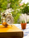 Yellow book with vintage alarm clock and cactus on blue plaid tablecloth. Royalty Free Stock Photo